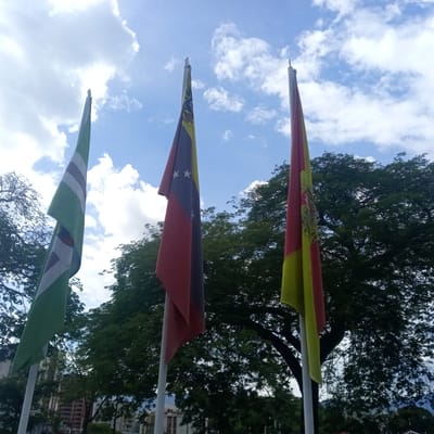 The image shows three flags flying on flagpoles against a blue sky with white clouds. The flag on the left is green with white stripes and a crest. The middle flag is red, yellow, and dark blue with white stars. The flag on the right is red and yellow with a crest. The flags appear to be in an outdoor public space, possibly a park or plaza, with large trees and buildings visible in the background. The scene is well-lit, suggesting it was taken during the daytime. There are no people visible in the image. The flags are blowing in the wind. It is not possible to definitively determine the location as the city of El Limon, Venezuela from the image alone, but it is a plausible setting given the flags shown.
