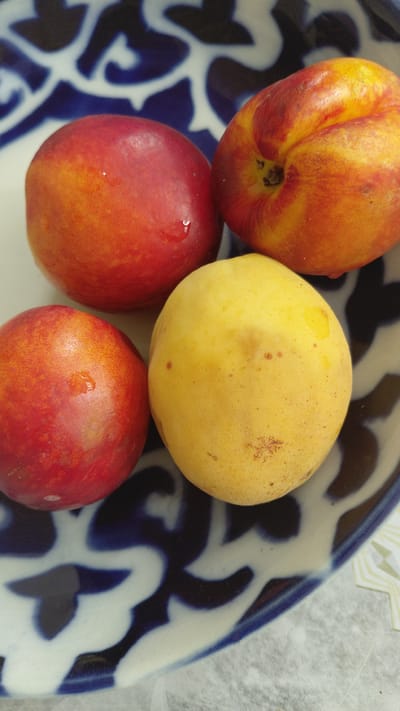 A close-up shot shows four fruits arranged in a shallow bowl with a blue and white decorative pattern. The fruits are two red nectarines, one peach, and one yellow plum. All fruits appear to be fresh, with some water droplets visible on their surfaces. The bowl is placed on a light-colored textured surface. The scene is indoors, and Ak-Terek, Kyrgyzstan is not discernible from the image.