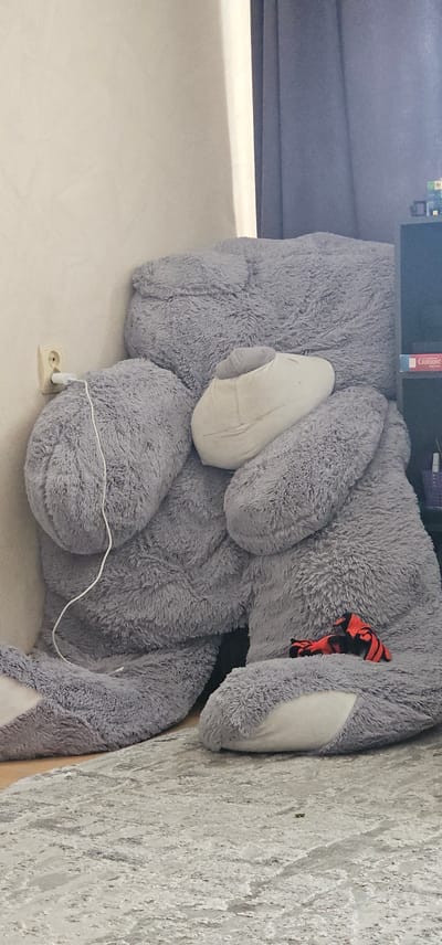 This media file shows a large, gray, plush teddy bear. The bear is lying on a light-colored carpeted floor. A thin white wire runs from near the bear's body to an electrical outlet visible on the floor. Part of the bear's body is obscured by what appears to be a light-colored fabric, possibly a slipper or a piece of clothing. There is a small patch of red and black fabric peeking out from underneath the bear's arm. In the background, a dark surface is visible, possibly a piece of furniture, with some items on top, one of which appears to be a red and white box with Cyrillic text. The overall scene suggests an indoor setting, likely a home. There are no people visible in the image. The lighting is subdued. The location context is Berestyn, Ukraine.