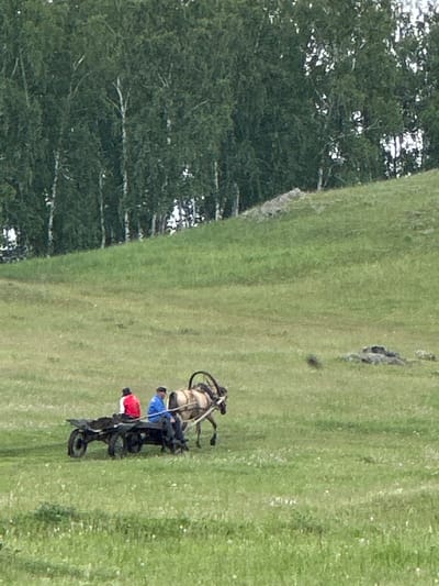 An outdoor, mid-shot, eye-level photograph captures a pastoral scene on a grassy hillside in Abzakovo, Russia. The foreground is dominated by lush green grass dotted with small white flowers. In the mid-ground, a horse-drawn cart is positioned on the left side of the frame. Two men are seated on the cart. The man on the left wears a red jacket and white pants, while the man on the right is dressed in a blue jacket and dark pants, with a dark cap. The horse, a light brown color, is harnessed to the cart and faces towards the right. The cart itself appears old and rustic, with two visible wheels on the left side and implied wheels on the right. The background features a dense forest of tall, slender trees with green foliage. A rocky slope is visible between the cart and the forest. The sky is not visible.