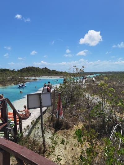 The image shows a view from a wooden platform, looking towards a lagoon of light blue water. The platform is constructed from wooden planks and leads to a shallow lagoon. People are gathered on and around the platform, with some of them standing on the platform, some wading in the water and some in kayaks. There are several green bushes and trees in the foreground with a blue sky with white clouds overhead. It is a sunny day, with clear blue skies. The scene is located near the lagoon at coordinates (latitude: 18.59, longitude: -88.434) in the town of Unidad de Riego, Mexico. The scene has a bright and colorful aesthetic.
