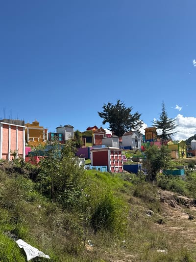 A hillside cemetery under a clear blue sky displays brightly colored tombs. Each tomb is painted in vibrant hues of pink, yellow, blue, and red. Green foliage and trees dot the landscape around the cemetery. The tombs vary in height and design, some with decorative crosses. The scene presents a lively contrast to the somber nature of a burial ground. A piece of white trash is visible in the lower right.