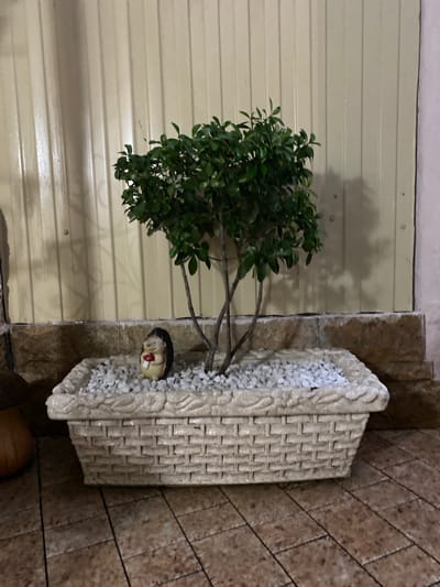 The image shows a decorative planter with a small tree and a hedgehog figurine. The planter is rectangular with a woven texture and is filled with small white stones. The hedgehog figurine has a smiling face and is positioned to the side of the planter, with its head peeking out. A small green tree with several branches grows out of the planter. The background consists of a light-colored, horizontally-paneled wall on the left and a tiled wall on the right. The lighting suggests it is daytime, likely indoors or in a covered outdoor area. The scene appears to be a decorative setup, possibly in a garden or patio area. There is no visible text in the image. The figurine and the planter suggest a whimsical or decorative theme.