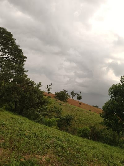 The image shows a landscape view of a hillside in Balewa, Nigeria, under a cloudy sky. The foreground features lush green vegetation with patches of soil and small stones. The hillside slopes upward and to the right, with the terrain transitioning from predominantly green grass and smaller plants to a mix of brown earth and sparse green growth further up. Several trees are scattered across the hillside, with some appearing more mature and leafy than others. In the distance, the sky is filled with heavy, gray clouds, suggesting overcast or impending rain. The overall scene depicts a natural, rural environment. There are no people or animals visible in the image.