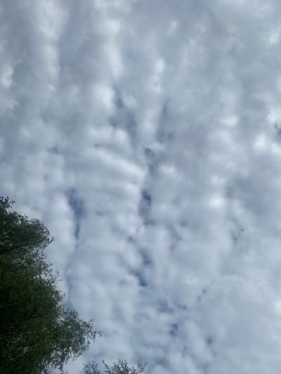 The image shows a cloudy sky with some trees on the left side. The clouds are gray and white, and they appear to be moving. There are patches of blue sky visible through the clouds. The trees are green and leafy. The image was taken in Karnaukhivka, Ukraine.