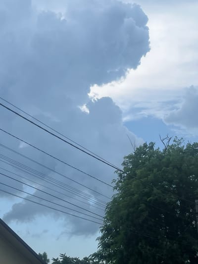 The image depicts a sky with large, dark clouds on the left and lighter clouds on the right, with a gap of blue sky in the center. Several power lines stretch diagonally across the frame from the bottom left to the upper right. In the lower right portion of the image, the upper branches of a dense green tree are visible, and to its right, a section of a utility pole can be seen. The lower left corner shows a sliver of a building's roofline. The scene appears to be an outdoor view, possibly from a residential area. There are no people or animals visible in the image. The provided location, Golubitskaya, Russia, cannot be confirmed or denied based solely on the visual information in the image.