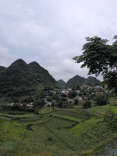The image depicts a serene rural landscape in Sà Phìn Commune, Vietnam, characterized by rolling hills and a small village nestled among them. The sky is overcast with a soft, diffused light, creating a peaceful atmosphere. In the foreground, lush green fields, possibly terraced crops, stretch across the hillside, showcasing the agricultural bounty of the region. The fields are a mix of textures and colors, with patches of darker green suggesting different types of vegetation or cultivation.
Further up the slope, a cluster of houses forms a small village. The buildings are predominantly low-rise, with a mix of architectural styles, including some with tiled roofs in shades of blue and red, and others with more muted earth tones. They are interspersed with trees, creating a harmonious blend of human habitation and nature.
Dominating the background are two majestic, tree-covered mountains. Their slopes are dense with vegetation, giving them a rugged and ancient appearance. The peaks are jagged and rocky, hinting at the geological formations of the area. A large tree with dark green foliage partially frames the right side of the image, adding depth and a sense of scale to the scene. The overall impression is one of tranquility and a close connection between the community and its natural surroundings. No people are visible in the image.