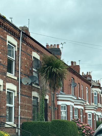 The image shows a row of red brick terraced houses in Crewe, United Kingdom, under an overcast sky. The houses have white-trimmed windows and chimneys. Several satellite dishes are visible on the walls of the houses, and television aerials are mounted on the roofs. A palm tree stands in front of one of the houses, and there is dense green foliage and flowering hydrangeas in the foreground. The scene appears to be a residential street.