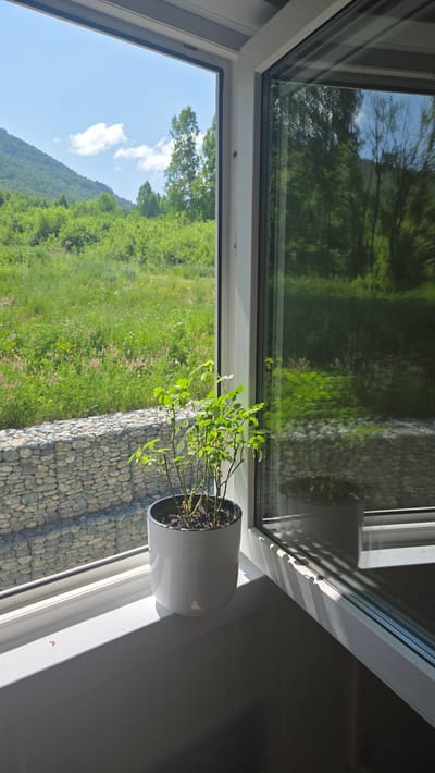 A potted plant is placed on a windowsill that overlooks a lush green landscape. The view includes a hillside covered in trees and vegetation, with a clear blue sky above. In the foreground, a stone wall is visible. The window is large and modern, with a corner view. The interior of the room is dimly lit, with sunlight casting shadows on the windowsill. There are no people visible in the image. The location is the city of Ozernoe, Russia.