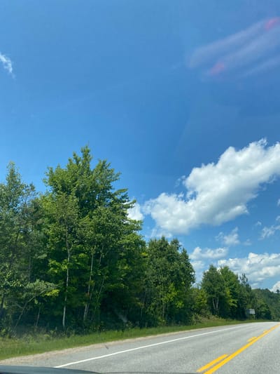 The image depicts a roadside view of a highway in Chénéville, Canada, under a bright blue sky with scattered white clouds. The highway, paved with asphalt, features a solid white line and double yellow lines marking the lanes. To the left of the road, a dense line of green trees and foliage forms a natural barrier. The trees are lush and varied in height, with some taller specimens reaching towards the sky. The ground alongside the road is covered with green grass. In the distance, the terrain appears to be gently rolling hills also covered in trees. A road sign is visible to the far right of the image, partially obscured by trees. The overall impression is a serene, natural landscape on a clear day.