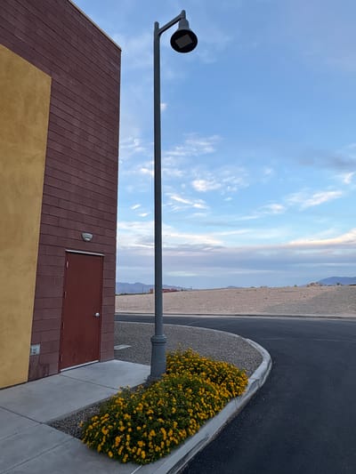 The image depicts an outdoor scene in Tucson, Arizona, USA. On the left, a building facade is visible, featuring a section of dark red brick and an adjacent section of textured yellow material. A dark red door with a silver handle is set into the brick wall. To the right of the building, a tall, slender grey lamppost stands, topped with a dark fixture. In front of the lamppost and along the curved edge of a paved area, a dense cluster of bright yellow flowers is in bloom. The foreground is dominated by dark asphalt, curving away to the right. Beyond the paved area is a wide expanse of sandy terrain, interspersed with low scrub vegetation and distant, hazy mountains under a pale blue sky with scattered white clouds. The lighting suggests it is either early morning or late afternoon.