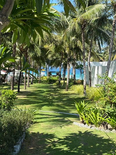 This image captures a serene pathway leading through a lush green lawn lined with numerous palm trees and tropical foliage. In the background, the vibrant turquoise ocean is visible, with structures suggestive of a resort or beachfront property. The scene is bathed in sunlight, casting distinct shadows from the palm fronds onto the manicured grass. The environment appears well-maintained and tranquil, indicative of a tropical vacation destination. The presence of the ocean and the characteristic vegetation strongly suggests a location along the coast of Cam Lâm, Vietnam, a region known for its beautiful beaches and resorts.