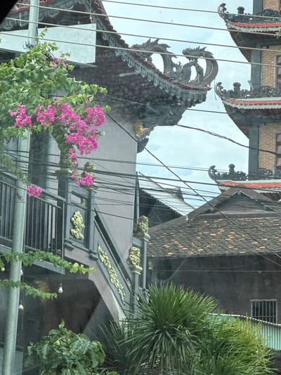 The image shows a street view in Dong Ninh Hoa, Vietnam. The scene is dominated by traditional Vietnamese architecture with ornate tiled roofs and decorative dragon sculptures. A vibrant pink bougainvillea plant cascades down from a balcony, adding a splash of color to the scene. Several power lines crisscross the frame, indicating an urban setting. In the foreground, lush green foliage, including a spiky yucca-like plant, partially obscures the view. The overall impression is one of a bustling, culturally rich urban environment with elements of natural beauty.