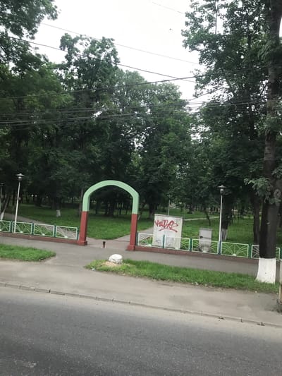 This image depicts an outdoor scene in the city of Roman, Romania, focusing on the entrance to a park or green space, viewed from across an asphalt road. The foreground consists of a grey asphalt road with a concrete curb separating it from a narrow strip of grass and a concrete sidewalk.
In the midground, a decorative archway, serving as an entrance, stands prominently. Its two vertical supports are reddish-brown, and the arch overhead is light green. To the left and right of the archway, a white metal fence with repeating fan-like patterns extends, bordering the park. The lower rail of this fence is also reddish-brown. Adjacent to the fence on the right, a rectangular utility box of light-colored material displays red graffiti, which appears to be the stylized word "HAVO" or similar. A smaller, dark grey utility box is positioned next to it. A white-painted concrete post or stone is located on a small grass patch near the archway's left support. A tall streetlamp with a grey pole and dark fixture stands immediately behind the archway on the left side. Further to the right, a tree trunk with its base painted white and the upper portion dark is visible.
The background is dominated by a dense canopy of lush green trees, indicating a park or wooded area. Patches of green grass are visible beneath the trees, and a winding pathway can be discerned deeper within the park. Several additional streetlamps are scattered throughout the park area. The sky is overcast and light grey, suggesting a cloudy day. Multiple dark power lines or utility cables stretch horizontally and diagonally across the upper portion of the image, intersecting the tree canopy and the sky. A small, dark bird is captured in flight in the upper right quadrant of the sky. No individuals are present in the scene.