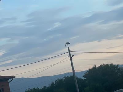 A bird is perched atop a utility pole in Yana, Bulgaria, with a cloudy sky and distant mountains visible. The bird, likely a stork given its silhouette, faces to the right with its head down, possibly in the process of preening or resting. The utility pole is made of wood and has multiple wires strung across it, one of which extends from the left side of the frame towards the pole. A small light fixture is attached to the pole below the bird. In the background, a range of mountains forms a hazy blue silhouette against the pale sky, which is filled with soft, diffused clouds. To the lower left, the edge of a building with a red tiled roof is visible. The overall atmosphere is calm and rural, with the natural landscape dominating the scene.
