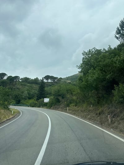 This media file captures a view from a vehicle driving on a winding asphalt road through a mountainous, forested landscape in Gornji Katun, Montenegro. The road curves sharply to the right in the foreground, with a solid white line marking its right edge and a broken white line further left. The asphalt appears grey, showing signs of wear and faint tire marks.
The scene is dominated by dense green foliage, with trees and shrubs covering steep hillsides on both sides of the road. The vegetation varies, including taller, possibly pine-like trees, and bushier deciduous trees. On the left side of the road, a blue metal guardrail is visible following the curve. Several small rectangular markers or posts are interspersed along the grassy shoulder.
A white road sign stands on the right side of the road. It features multiple lines of text and pictograms: an upward arrow followed by "1.6 km", then an arrow pointing slightly right with "10", another arrow pointing slightly right with "40", and a final arrow pointing right with "60". These likely indicate distances or directions to various points.
The sky is overcast with heavy grey clouds, suggesting a cloudy day, possibly indicating impending rain or just a heavily overcast period. The overall atmosphere appears peaceful and natural. There are no people visible in the image.
