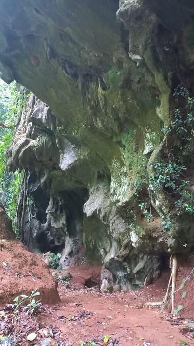 The image depicts a cave entrance near Ban Pak Ra, Thailand. The cave's opening is bordered by weathered rock formations, some covered with green vegetation. Outside the entrance, there is red soil with scattered leaves and small plants. A root protrudes from the right side of the cave entrance. The lighting is dim inside the cave, while the exterior is brighter.