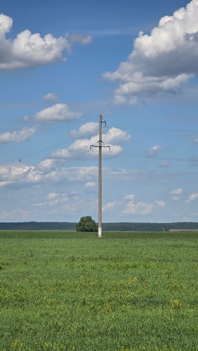 This is a vertical, wide-angle, eye-level photograph of a power line pole in a rural landscape on a sunny day. The sky is a vibrant blue, dotted with fluffy white and gray clouds, suggesting fair weather. The sun is high in the sky, casting a bright light on the scene.
The main subject is a tall, gray concrete power line pole positioned in the center of the frame, running vertically. It supports a crossbar with insulators, and several power lines extend horizontally from it, disappearing into the distance.
To the left of the pole is a vast expanse of bright blue sky, with scattered clouds adding texture and depth. To the right of the pole, a large field of lush green grass stretches towards the horizon. The field appears to be a crop, possibly grain or hay, with some yellow wildflowers interspersed throughout. The horizon is marked by a dark green line of trees, forming a distant treeline that separates the field from the sky. A faint, lighter line of hills or mountains is visible beyond the treeline.
At the base of the power line pole, on the right side of the frame, a dense, dark green tree is visible, providing a strong contrast to the surrounding field. A low, thin concrete wall or fence is visible in the far distance along the edge of the field, running horizontally along the treeline.
There are no people visible in the image, nor any discernible activity other than the presence of the power lines and the natural environment. The overall mood is serene and peaceful, characteristic of a sunny day in the countryside. The location is identified as Novotroitskoye, Russia, which aligns with the rural, open-field landscape depicted. There is no visible text in the image.