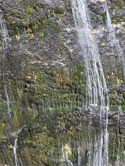 This is a close-up, eye-level, medium shot of a moss-covered rock face with water cascading down it. The rock face is predominantly dark grey with patches of vibrant green moss and lighter brown or yellow mineral deposits. Multiple streams of water are visible, appearing as thin, translucent white lines, creating a curtain-like effect as they flow over the textured surface. Some areas of the rock are wet and reflective, while others appear dry. The overall impression is one of natural erosion and the interplay of water and stone. The image is taken in the vicinity of the Gastein Waterfall in Bad Gastein, a municipality in the district of St. Johann im Pongau, in the Austrian state of Salzburg.