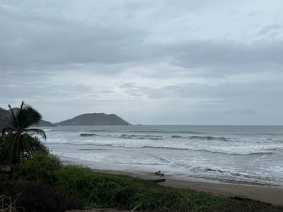 The image shows a wide view of a beach on a cloudy day. In the foreground, there is dense green vegetation, including a palm tree on the left side, with some dry branches and debris on the sandy ground. The ocean fills the middle ground, with several rows of waves breaking on the shore. In the background, a large, hilly island is visible in the distance, with some structures on its slopes. The sky is overcast with gray clouds. The scene appears to be in Playa Ojo de Agua, Mexico.