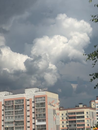The image captures a dramatic sky with a mix of bright white and dark gray clouds, suggesting a dynamic weather system. The sky dominates the frame, with large, billowy cumulus clouds on the left and a more ominous, overcast sky on the right. Green leaves and branches of a tree hang into the upper left corner of the frame, framing the sky.

To the right of the sky, a tall, multi-story building is visible. The building is constructed with a light-colored facade, accented with pink and beige horizontal bands. It features numerous windows, arranged in grid-like patterns, with some appearing to be open or reflecting the sky. The architecture suggests a residential or commercial building. On the side of the building, there are large, colorful murals depicting abstract shapes and figures, including what appear to be a guitar and a stylized human form. The building's design includes balconies or external staircases.

The orientation of the image is rotated 90 degrees counterclockwise. The lighting suggests it is daytime, possibly late afternoon or early evening, given the contrast between light and shadow in the clouds. The overall mood is one of natural grandeur juxtaposed with urban architecture. There is no visible text in the image. The location context is Zonalnaya Stantsiya, Russia.