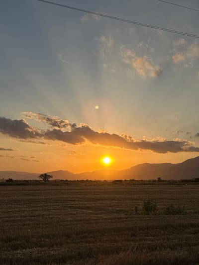 The image depicts a sunset scene over a harvested field, likely in or near Blatets, Bulgaria. The sun, a bright orange orb, is low on the horizon, casting golden rays through scattered clouds. A contrail from an airplane is visible in the upper left portion of the sky. In the foreground, the field is covered in stubble, suggesting recent harvesting. In the middle ground, a solitary tree stands against the backdrop of distant mountains. Several structures, possibly agricultural machinery or buildings, are visible on the horizon. Power lines are stretched across the top of the frame. The overall atmosphere is serene and natural.