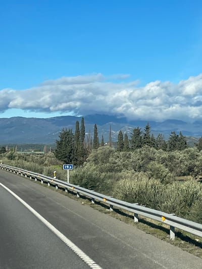 The image depicts an outdoor daytime scene along a highway or major road in Pont de Molins, Spain. The foreground features a dark asphalt road with a white dashed line on the left, running parallel to a gray metal guardrail equipped with orange reflective markers. Behind the guardrail, a blue rectangular sign displaying "19.5" in white text is mounted on a pole. The midground consists of dense vegetation, including numerous tall, slender coniferous trees, broader trees, and various shrubs, extending towards a distant, dark mountainous range. The mountains are partially obscured by a band of white and gray clouds. The upper portion of the image is dominated by a clear blue sky. No individuals or active subjects are visible within the frame.
