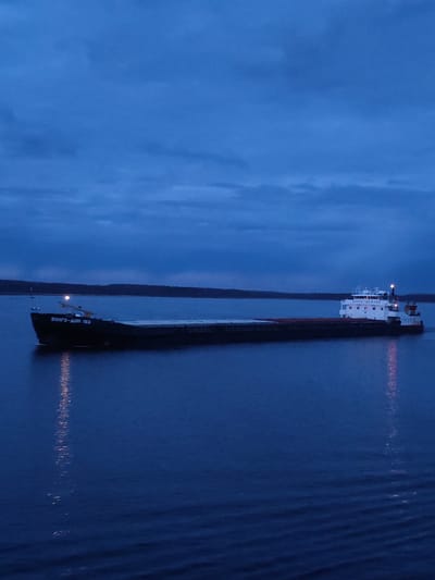 The image depicts a large cargo ship, identified by the Cyrillic text "ВОЛГО-ДОН 193" (VOLGO-DON 193) clearly visible on its bow and partially on its superstructure. The vessel is navigating a wide body of water, likely a river or large lake, with a dark, forested shoreline visible in the distant background.
The scene takes place during dusk or nighttime, characterized by a deep blue, heavily clouded sky and the illuminated lights on the ship. These lights cast long, shimmering reflections across the dark, rippling surface of the water, indicating the ship's movement. The ship's hull is dark, contrasting with its lighter, illuminated stern superstructure. The cargo holds appear to be empty or lightly loaded, with a reddish tone visible inside some sections.
The overall atmosphere is calm and subdued, emphasizing the vessel's solitary journey through the low-light conditions. No people are visible on board or in the surroundings. This type of vessel, a "Volgo-Don" class, is commonly found in Russian waterways, aligning with the provided location context of Gorushka, Russia.