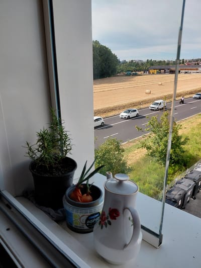 This is a photograph taken from a window in Ecublens, Switzerland, looking out over a rural landscape with a highway. In the foreground, on a windowsill, are several objects: a potted rosemary plant in a black container, a plastic tub containing two onions with green sprouts, and a white teapot decorated with red roses. To the right of the objects on the windowsill, a tall pane of glass reflects the scene. Outside the window, a two-lane highway runs horizontally across the frame. Several vehicles are visible on the highway, including two white cars, a white van, and a motorcycle. Beyond the highway, a large field of harvested wheat, with round hay bales, stretches into the distance. Further in the background, trees line the field, and buildings, including what appears to be an industrial or agricultural structure, are visible on a slight incline. The sky is overcast with scattered clouds. Several large, dark-colored trash bins are lined up along a fence in the lower right portion of the image, adjacent to the highway.
