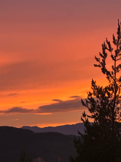 The image depicts a sunset in the city of Strazha, Bulgaria. The sky is a vibrant gradient of orange and pink, with scattered clouds. Silhouetted against the sky are rolling hills covered in dark vegetation. In the foreground, a pine tree stands tall and dark, its branches reaching upwards. The overall scene is serene and natural, with no people or man-made structures immediately visible.