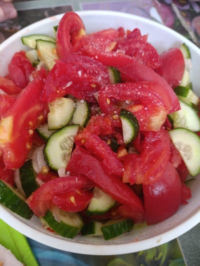 A close-up, overhead shot shows a white bowl filled with a fresh salad composed of sliced red tomatoes and sliced green cucumbers. The tomatoes are cut into wedge shapes and appear slightly juicy, with some salt sprinkled over them. The cucumbers are cut into thin rounds and intermingled with the tomato pieces. The salad is served in a white plastic bowl, which is placed on a surface with a patterned background, possibly a table with a placemat. The image focuses tightly on the salad, with only a portion of the bowl and the immediate surroundings visible. The salad appears to be prepared for consumption. There are no people visible in the frame. The scene is indoors or outdoors in a casual setting. The location in the city of Қызылжар, Kazakhstan is not discernible from the image itself.