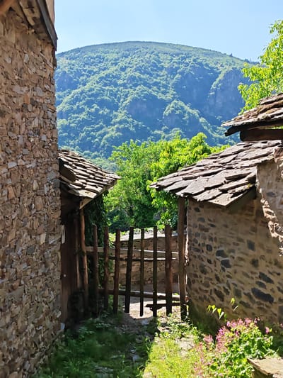 The image captures a sunlit, narrow unpaved pathway between two traditional stone buildings, characteristic of the village of Kovachevitsa, Bulgaria. The pathway leads towards a distant, heavily forested mountain range under a clear blue sky.
The building on the left features a multi-story stone wall constructed from irregularly shaped, varied light brown and grey stones, with a dark roof overhang visible at the top edge. Green grass and small plants grow at the base of this wall.
The building on the right also exhibits stone construction, with a prominent, steeply pitched roof made of overlapping grey slate tiles, some showing minor moss accumulation. A thick wooden beam supports the roof's overhang. A vibrant patch of green foliage with small pink flowers thrives at the base of this building, brightly illuminated.
A rustic wooden fence or gate, comprising vertical logs, partially crosses the pathway in the midground. Climbing green vegetation intertwines with the fence structure on the left side. The ground beneath the pathway consists of dirt, small stones, and scattered patches of green grass and weeds.
In the background, a vast expanse of mountains is visible, densely covered in bright green, deciduous trees. The distant peaks are sharply outlined against a clear, light blue sky, indicating bright daylight conditions. No individuals or animals are present in the scene.