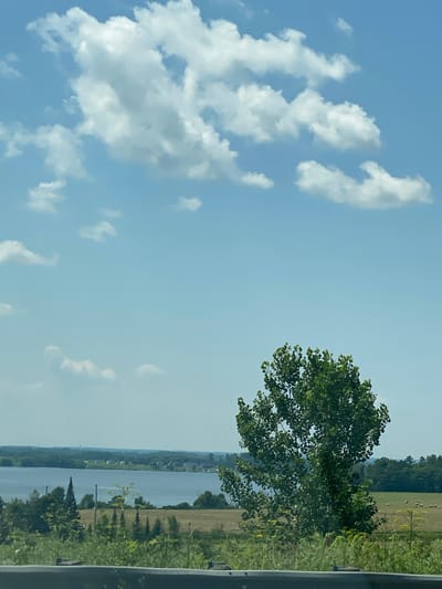 This is a photograph taken from a slightly elevated vantage point, looking out over a landscape. The sky is a clear, bright blue, with scattered white, puffy clouds. In the foreground, there is a dark, blurry barrier, likely a railing or ledge, suggesting the photo was taken from a vehicle or elevated platform.
Dominating the mid-ground is a large, deciduous tree with dense green foliage, positioned to the right of the frame. Behind the tree, a body of water, likely a lake or large river, stretches across the width of the image. The far shore of the water is lined with trees and dotted with a few buildings, indicating a rural or semi-rural settlement. In the fields on the far side of the water, several small, round hay bales are visible.
The area appears to be a scenic rural landscape, possibly near the city of Pointe-au-Chêne, Canada, given the description. The overall impression is one of a pleasant, sunny day in a natural setting. There are no people or animals clearly visible in the image. The perspective suggests the photographer is observing the scene from a distance.