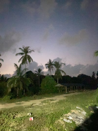 The image captures a low-light outdoor scene, likely during twilight or night, with a prominent cloudy sky. The sky, occupying the upper and left sections, is filled with dark, textured clouds in shades of blue and gray, suggesting an overcast atmosphere. A few faint, bright points are scattered across the cloudy expanse.
Numerous palm trees are silhouetted against the dim sky, their distinct fronds visible, indicating a tropical setting. To the right of the palm trees, dense, dark foliage forms a natural boundary. The lower right portion of the image shows a patch of grassy ground with a dirt path or track. On this grass, two containers are visible: one light-colored bucket or can, and another with a red lid. Further in the background, a pile of light-colored debris or materials is present amidst the dark vegetation. There are also faint hints of wooden structures or fencing within the dense foliage.
No human activity or individuals are present, and the scene appears still. The overall mood is quiet and somewhat mysterious due to the dim lighting and heavy clouds. There is no visible text in the image.