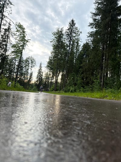 A low-angle, wide shot captures a wet paved pathway in a park-like setting. Tall, dark green coniferous trees line the right side of the path, with a dense green forest visible beyond them. The path itself is covered in a thin layer of water, reflecting the overcast sky and the trees. In the middle distance, a person in a light-colored jacket and dark skirt walks away from the camera. To the left of the path, in the foreground, a man in a light-colored short-sleeved shirt stands facing away from the camera, with his back slightly turned. The overall scene is serene and suggests a recent rainfall. The location is identified as Chusovoy, Russia.