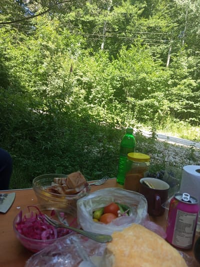 A picnic is underway in a wooded area, possibly near Giaginskaya, Russia, with a table laden with food and drinks. In the foreground, a wooden table displays various items. A clear bowl holds sliced red onions, and another bowl contains chunks of bread and possibly meat. A plastic bag holds tomatoes and cucumbers. To the right, a pink soda can sits next to a brown mug and a jar filled with a granular substance. A green plastic bottle and a roll of paper towels are also on the table. In the background, dense green foliage creates a natural backdrop. A pathway, possibly gravel, is visible behind the table.
