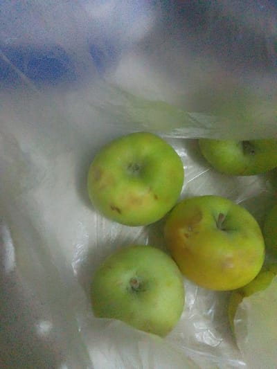The image shows several green apples placed inside a transparent plastic bag. The apples appear to be slightly bruised or discolored in some areas. The background is out of focus, but suggests a bright, indoor setting. The lighting is diffused, creating a soft glow on the apples and the plastic bag. The image is taken from a top-down perspective. There is no visible text. The scene appears to be a casual arrangement of fruit, possibly in a market or a home setting in Türkmenbaşy, Turkmenistan.