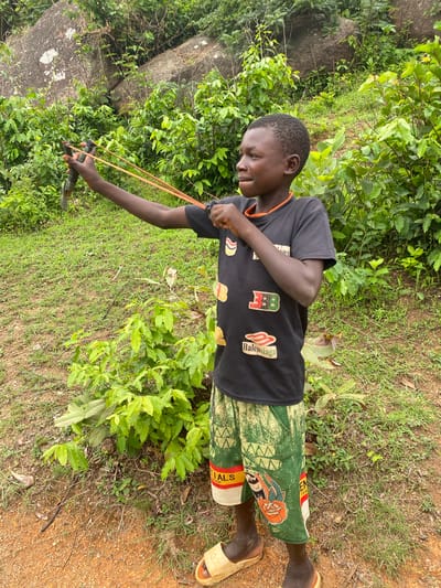 A young boy stands in Ganawuri, Nigeria, surrounded by lush greenery. He is actively drawing back a slingshot, aiming towards a target outside the frame. He is clad in a black t-shirt with visible logos and green patterned shorts. He is also wearing sandals. The environment consists of grass, scattered foliage, and rocks.