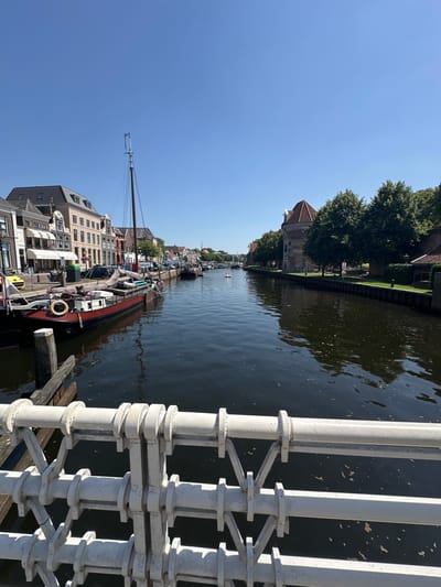 A low-angle, vertical shot captures a canal lined with buildings and trees under a clear blue sky. The water's surface is dark and reflects the trees and buildings along the bank. Several boats are docked along the canal, including a large sailboat with a prominent mast and a smaller vessel with a red hull. The buildings appear to be a mix of older and newer styles, with some featuring traditional Dutch architecture.

In the foreground, a white, ornate railing of a bridge or walkway is visible, its industrial design contrasting with the historical setting. The sunlight suggests it's daytime, and the clear sky indicates fair weather. The scene is one of tranquil urban life, with boats at rest and the gentle flow of the canal. There are no visible people actively engaged in an event, but the presence of boats suggests leisure or transportation activities. The location cues, combined with the architectural style and canal setting, are consistent with a European city, specifically Zwolle, Netherlands.