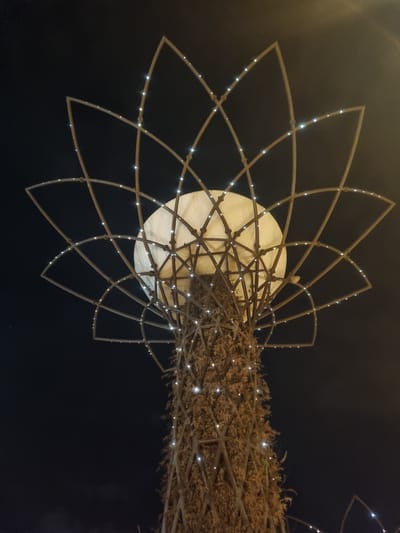 An outdoor, low-angle, night shot captures a close-up of a large, illuminated art installation resembling a lotus flower against a dark sky. The art piece is constructed from a central, spherical, white translucent material, possibly fabric or plastic, that is illuminated from within. Encasing this sphere is a skeletal structure of thin, light-colored, curved metal poles, creating a petal-like design. Small, white LED lights are strung along the metal framework, casting a twinkling glow. The lower portion of the installation appears to be a thick, textured trunk made of interwoven, dried, brown vegetation, also adorned with numerous small white lights. The background is a deep, dark night sky, with a few faint white dots that might be stars or distant lights. The image was taken in the city of Araçariguama, Brazil, and appears to be a public art display. There are no people or animals visible in the frame.