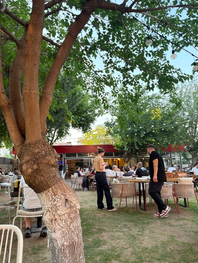 This is a full-frame, eye-level, outdoor shot of a restaurant patio in Yunus Emre, Turkey. In the foreground, the thick, textured trunk of a large tree, partially whitewashed at its base, dominates the left side of the frame. Its branches extend upwards and are covered in green leaves, some of which are backlit by the sky. String lights with visible bulbs are strung across the branches.
The middle ground reveals a restaurant setting. Several tables are set up on a grassy area, with chairs made of woven material and metal frames. People are seated at some of these tables, engaged in dining and conversation. Two individuals are prominent: on the left, a person in a tan shirt and dark pants stands looking at their phone; on the right, a person in a black t-shirt and black pants walks away from the camera, wearing red and white sneakers. A building with a red awning and large glass windows, indicating it's the restaurant interior, is visible in the background.
The background consists of more trees and the sky, which is a pale blue. The overall atmosphere suggests a casual dining experience in a pleasant outdoor environment.
