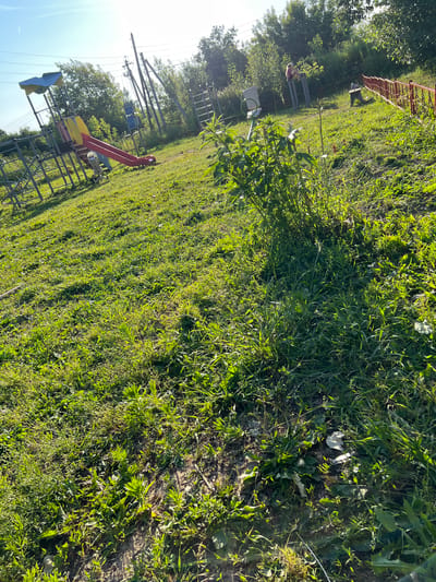 The image shows a green, grassy outdoor area with a playground in the background. The playground features a red slide, a yellow and blue structure, and metal bars. There are trees and utility poles in the background. A red fence runs along the right side of the image. In the mid-ground, two individuals, possibly children, are visible near the playground. The foreground is dominated by tall grass and other vegetation. The scene appears to be set in a residential or recreational area, potentially in the village of Afanasyevo, Russia, given the context of the prompt. The lighting suggests it is daytime, with sunlight casting shadows.