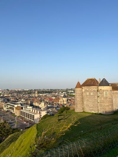 This is a high-angle, wide shot of a city and a stone structure, taken during the day. The image is oriented vertically, so the sky occupies the left half of the frame and the land occupies the right half.
The sky is a clear, pale blue, transitioning to a lighter shade near the horizon. On the right side of the frame, a dense urban landscape stretches out below. The city consists of numerous buildings with red-tiled roofs, intermingled with some modern white buildings. Streets with cars and streetlights are visible, indicating an active urban environment.
Dominating the upper right portion of the frame is a large, old stone structure, possibly a castle or fortress. It features multiple levels, arched windows, and conical roof sections. Green grass covers the sloping ground between the stone structure and the city. A green metal fence runs along the edge of the grassy area, separating it from the foreground. A bare, gnarled tree with yellowing branches stands on the grass, its form casting a shadow.
The lighting suggests it is late afternoon or early evening, with the sun casting long shadows. The overall mood is serene and expansive, offering a panoramic view of the city from a historical vantage point. There is no visible text in the image. Based on the location context, this scene depicts Dieppe, France, likely from a elevated position overlooking the town and its historical fortifications.