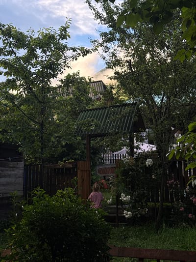 The image depicts a backyard scene in Khvanchkara, Georgia. A young child wearing a pink shirt is visible, facing away from the camera and towards a wooden gate. The gate is partially open, revealing a glimpse of white fencing and foliage beyond. Lush green trees and bushes dominate the foreground, with a weathered wooden fence and a shed on the left side of the frame. In the background, a corrugated metal roof is visible, suggesting the presence of structures or homes. The sky above is partly cloudy, with patches of blue and white. The overall impression is one of a tranquil, rural setting.