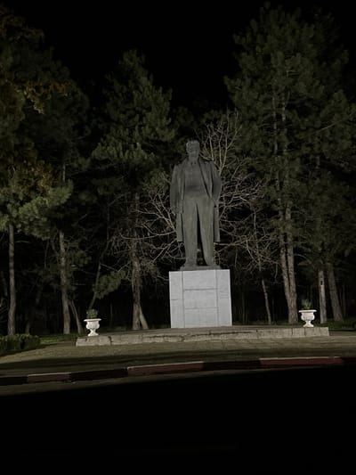 The image displays a full-body, dark-colored statue of Vladimir Lenin situated in Novgrad, Bulgaria, during nighttime. The statue, depicting a male figure wearing a coat draped over his shoulders with one hand in a pocket, stands on a prominent, multi-tiered light grey concrete pedestal. This pedestal rests on a wider, darker grey stone base. Flanking the pedestal on the base are two white, ornate urn-style planters, each containing small purple flowering plants. Behind the monument, a dense arrangement of dark green coniferous trees and leafless deciduous trees forms the background. The scene is illuminated by artificial light, highlighting the statue and its immediate surroundings against the dark night sky. The foreground shows a dark paved surface with a red and white painted curb.