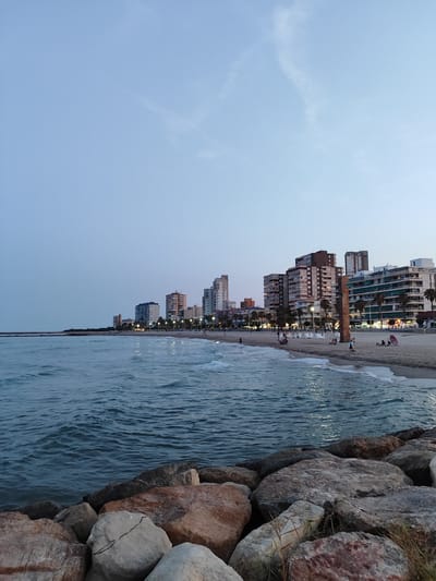 The image captures a scenic view of the coastline in El Campello, Spain, at dusk. The foreground is dominated by a rocky breakwater, with various-sized stones forming a textured barrier. Beyond the rocks, the tranquil sea stretches out, its surface reflecting the soft light of the fading day with gentle waves lapping at the shore.
The middle ground features a sandy beach dotted with a few scattered sunbathers, some seated and others casually strolling. The beach is lined with palm trees and a promenade, which in turn is bordered by a row of multi-story buildings. These buildings, of varying architectural styles and colors, are illuminated by streetlights, casting a warm glow onto the promenade and the adjacent area. The architecture suggests a typical Mediterranean coastal resort town.
The sky above is a soft, pale blue, transitioning to a darker hue near the horizon, indicating the twilight hour. A few wispy clouds are visible, adding a subtle texture to the expansive sky. The overall atmosphere is peaceful and serene, characteristic of a beach scene as the day concludes.