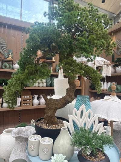The image shows a well-lit indoor space, likely a retail store, with a prominent artificial bonsai tree as the central subject. The bonsai, with its twisted trunk and lush green foliage, is potted in a dark circular container filled with pebbles. Surrounding the bonsai, various decorative items are displayed on shelves and tables.
To the left of the bonsai, a large textured white vase stands beside a textured gray vase with a ruffled rim. In front of these, on a light blue tray, are two cylindrical candles featuring lotus flower designs and the text "PURE BALANCE." To the right of the bonsai, a teal glass vase with a ribbed texture is visible, along with a white lotus-shaped decorative piece. Further to the right, a white decorative umbrella with tassels and wooden accents is displayed.
The background reveals shelves stocked with an assortment of decorative vases and objects in muted tones of green, white, and gray. Some shelves also display fans and other ornamental items. The overall impression is a curated display of home decor items. The presence of a price tag on the bonsai with "229.00€" suggests it is for sale. The lighting and materials suggest an indoor greenhouse or a home decor store. Based on the information provided, this scene is located in Fritzlar, Germany.