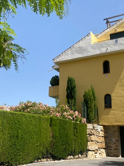 This is a close-up, Dutch-angle photograph of a building exterior and surrounding greenery. The building is painted a warm yellow with a white trim and roof edge. Two arched windows are visible on the yellow facade. Below the windows, a meticulously maintained green hedge runs horizontally across the frame, interspersed with blooming pink flowers. Behind the hedge, a rustic stone wall is visible, partially obscured by some of the greenery.
On the left side of the image, lush green foliage from trees hangs into the frame, creating a natural border. The sky above is a clear, bright blue, suggesting a sunny day. The composition is dynamic due to the tilted perspective, giving a sense of depth and movement. No people are visible, and the scene appears to be a well-kept garden or courtyard area adjacent to a building. The overall impression is one of a bright, warm, and peaceful outdoor setting, likely in a Mediterranean climate given the vegetation and architecture. The bright sunlight indicates it is daytime. There is a small white rectangular sign visible on the yellow wall.