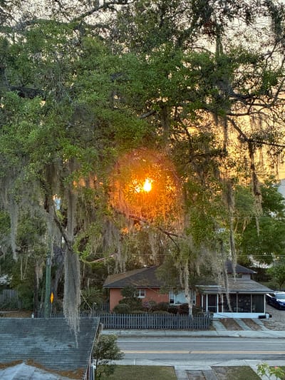 The image captures an urban residential scene in Gainesville, United States of America, at either sunrise or sunset. A brilliant orange sun, partially obscured, is visible through the dense canopy and numerous strands of gray Spanish moss hanging from a large, green-leafed tree that dominates the upper and left sections of the frame. Below the tree, a paved two-lane street with double yellow center lines runs horizontally across the mid-ground. On the far side of the street, a dark gray picket fence borders a property featuring a reddish-brown single-story house with a prominent screened-in porch and a concrete driveway leading to it. To the right of the house, a blue sedan is parked on an unpaved surface. In the lower-left foreground, a dark gray shingled rooftop is partially visible. A dark utility pole with a yellow diamond-shaped warning sign is situated behind the fence on the left side of the street. No individuals are present in the scene.
