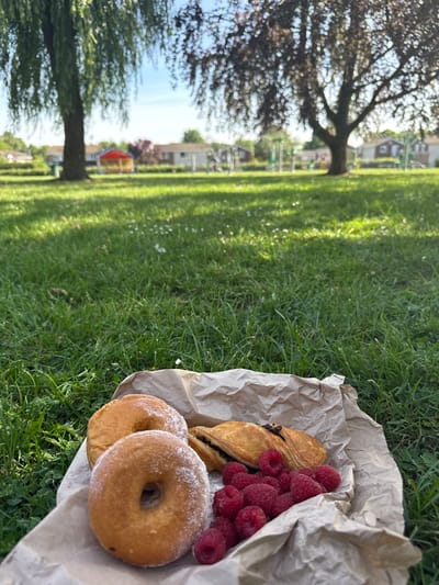 The image depicts a picnic on a grassy lawn. A brown paper bag holds two powdered sugar donuts, a pastry with a dark filling, and a pile of red raspberries. In the background, blurred trees and houses suggest a park or residential area. The location is High Wycombe, United Kingdom, based on visual characteristics of the built environment and typical park settings found in the city. There are no people visible in the image.